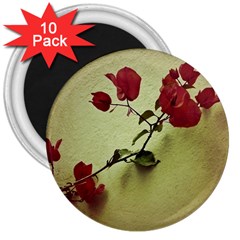 Santa Rita Flower In Warm Colors Wall Photo 3  Magnet (10 Pack) by dflcprints