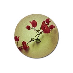 Santa Rita Flower In Warm Colors Wall Photo Magnet 3  (round) by dflcprints