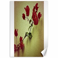 Santa Rita Flower Canvas 20  X 30  (unframed) by dflcprints