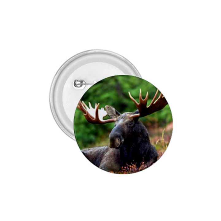 Majestic Moose 1.75  Button