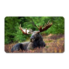 Majestic Moose Magnet (rectangular)