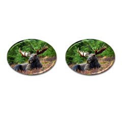 Majestic Moose Cufflinks (oval) by StuffOrSomething