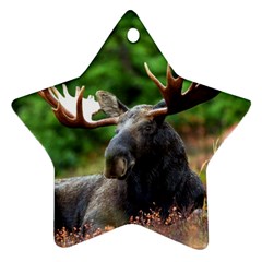 Majestic Moose Star Ornament (two Sides) by StuffOrSomething