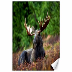 Majestic Moose Canvas 12  X 18  (unframed) by StuffOrSomething