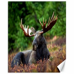 Majestic Moose Canvas 11  X 14  (unframed) by StuffOrSomething