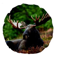 Majestic Moose 18  Premium Round Cushion 