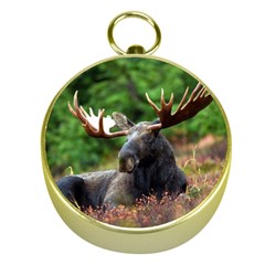 Majestic Moose Gold Compass by StuffOrSomething