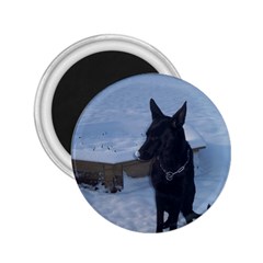 Snowy Gsd 2 25  Button Magnet by StuffOrSomething