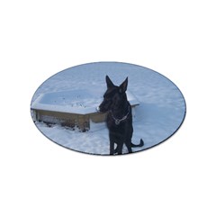 Snowy Gsd Sticker (oval) by StuffOrSomething