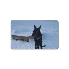 Snowy Gsd Magnet (name Card) by StuffOrSomething