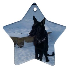 Snowy Gsd Star Ornament (two Sides) by StuffOrSomething