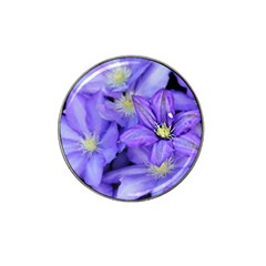 Purple Wildflowers For Fms Golf Ball Marker 4 Pack (for Hat Clip) by FunWithFibro