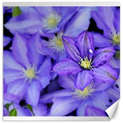 Purple Wildflowers For Fms Canvas 16  X 16  (unframed)