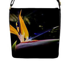 Kangaroo Paw Messenger Bag (large)