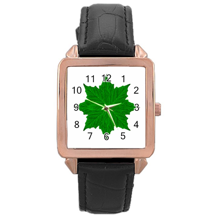 Decorative Ornament Isolated Plants Rose Gold Leather Watch 