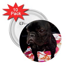 French Bulldog Sitting 2 25  Button (10 Pack) by StuffOrSomething