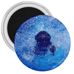 French Bulldog Swimming 3  Button Magnet by StuffOrSomething