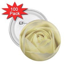  Cream Rose 2.25  Button (100 pack)