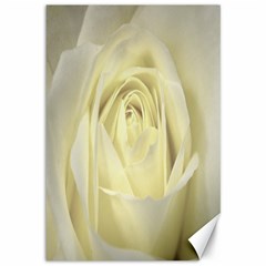  Cream Rose Canvas 12  X 18  (unframed) by Colorfulart23