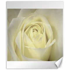  Cream Rose Canvas 20  x 24  (Unframed)