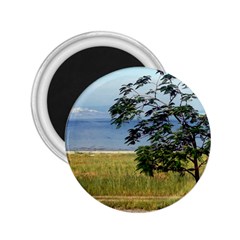 Sea Of Galilee 2 25  Button Magnet by AlfredFoxArt