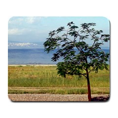 Sea Of Galilee Large Mouse Pad (rectangle) by AlfredFoxArt