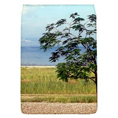 Sea Of Galilee Removable Flap Cover (large) by AlfredFoxArt