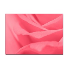 Pink Silk Effect  A4 Sticker 100 Pack by Colorfulart23