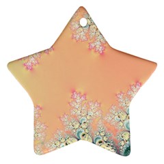 Peach Spring Frost On Flowers Fractal Star Ornament