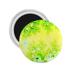 Sunny Spring Frost Fractal 2 25  Button Magnet by Artist4God