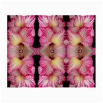 Pink Gladiolus Flowers Glasses Cloth (Small, Two Sided) Back