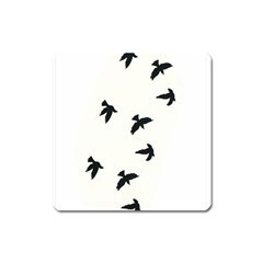 Waterproof Temporary Tattoo -----three Birds Magnet (square) by zaasim