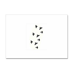 Waterproof Temporary Tattoo -----three Birds A4 Sticker 10 Pack by zaasim