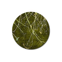 Wild Nature Collage Print Magnet 3  (round) by dflcprints