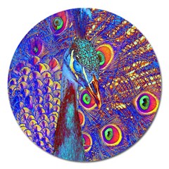 Peacock Magnet 5  (round) by icarusismartdesigns