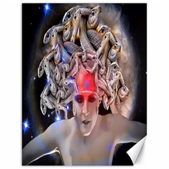 Medusa Canvas 18  X 24  (unframed) by icarusismartdesigns