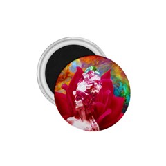 Star Flower 1 75  Button Magnet by icarusismartdesigns