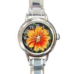 Flower In A Parking Lot Round Italian Charm Watch