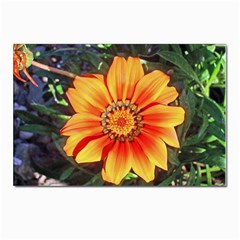 Flower In A Parking Lot Postcard 4 x 6  (10 Pack) by sirhowardlee