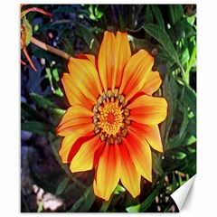 Flower In A Parking Lot Canvas 8  X 10  (unframed) by sirhowardlee