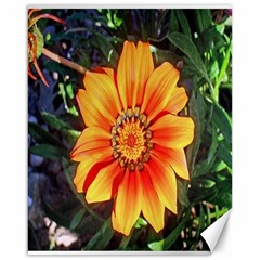 Flower In A Parking Lot Canvas 16  X 20  (unframed) by sirhowardlee