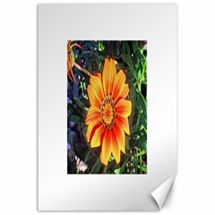 Flower In A Parking Lot Canvas 24  X 36  (unframed)