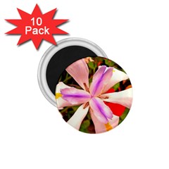 African Iris 1 75  Button Magnet (10 Pack) by sirhowardlee