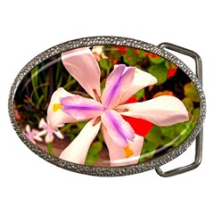 African Iris Belt Buckle (oval) by sirhowardlee