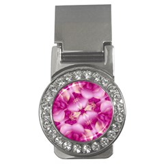 Beauty Pink Abstract Design Money Clip (cz)