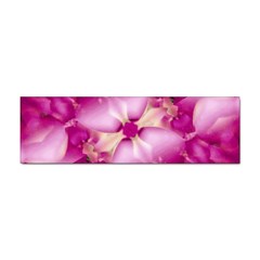 Beauty Pink Abstract Design Bumper Sticker by dflcprints