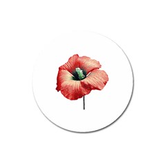 Your Flower Perfume Magnet 3  (round) by dflcprints