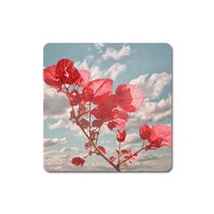 Flowers In The Sky Magnet (square) by dflcprints