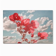 Flowers In The Sky Postcards 5  X 7  (10 Pack) by dflcprints