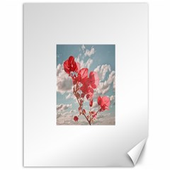 Flowers In The Sky Canvas 36  X 48  (unframed) by dflcprints